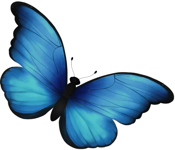 Mariposa